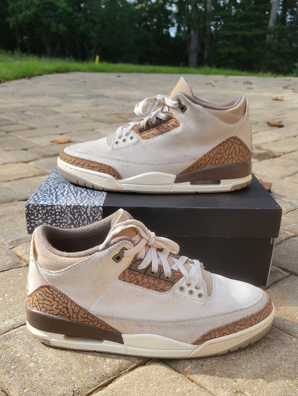 Jordan 3 Retro 'Palomino'